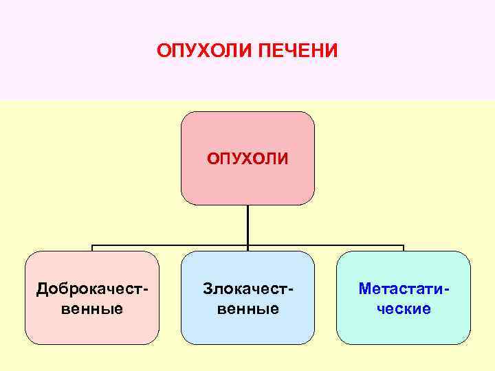 ОПУХОЛИ ПЕЧЕНИ ОПУХОЛИ Доброкачественные Злокачественные Метастатические 