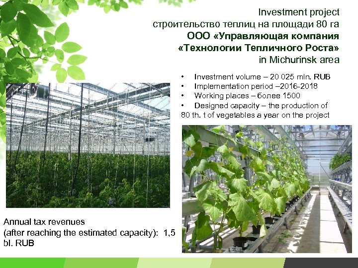 Investment project строительство теплиц на площади 80 га ООО «Управляющая компания «Технологии Тепличного Роста»