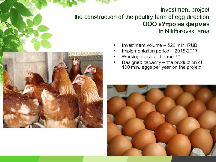 Investment project the construction of the poultry farm of egg direction ООО «Утро на