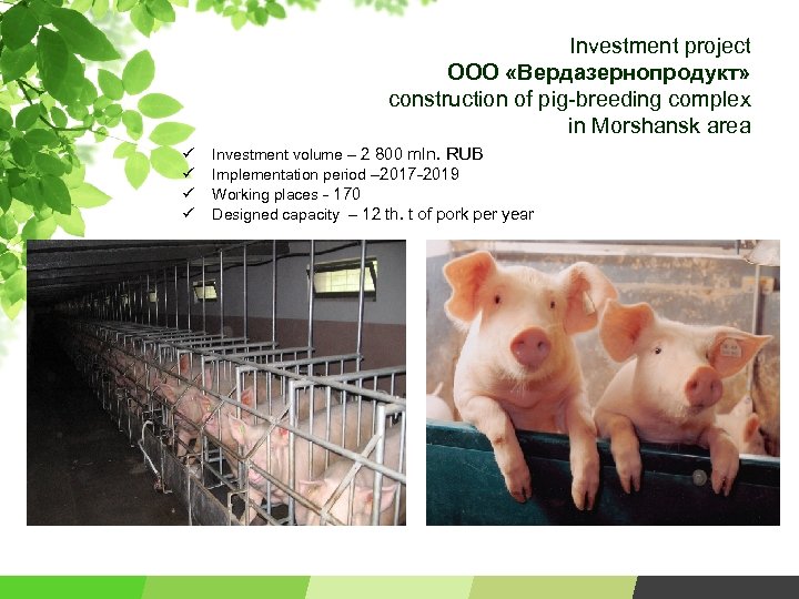 Investment project ООО «Вердазернопродукт» construction of pig-breeding complex in Morshansk area ü ü Investment