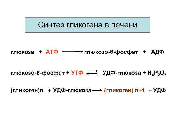 Стимулирует синтез гликогена в печени