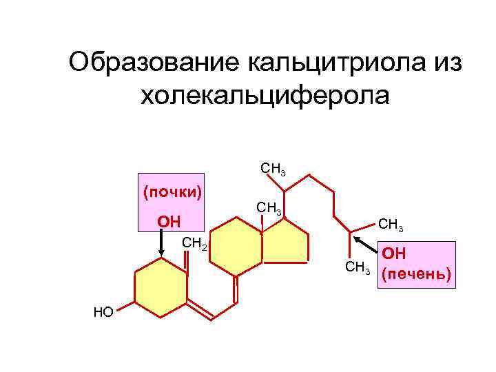 Схема синтеза кальцитриола