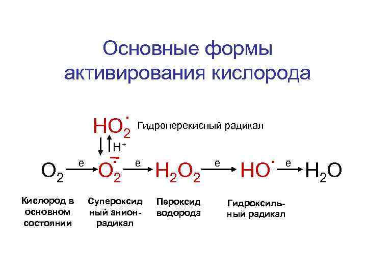 Основные формы активирования кислорода. НО 2 Гидроперекисный радикал Н. ē. ē О 2 Н
