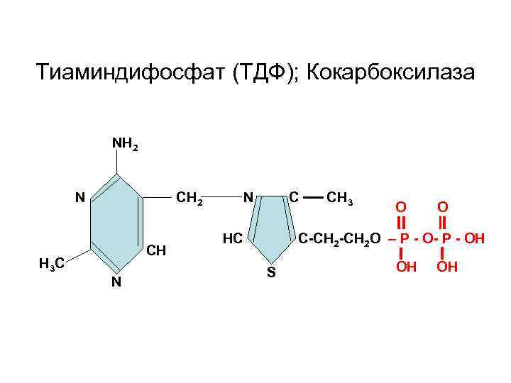 Тиаминдифосфат (ТДФ); Кокарбоксилаза NH 2 N H 3 C CH 2 СН N N