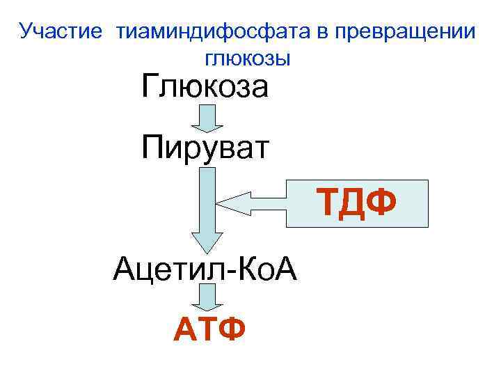 Участие тиаминдифосфата в превращении глюкозы Глюкоза Пируват ТДФ Ацетил-Ко. А АТФ 