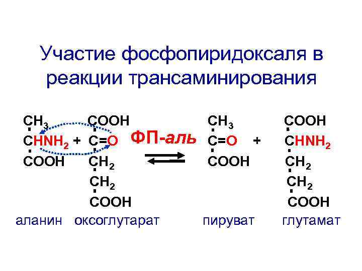 Участие фосфопиридоксаля в реакции трансаминирования СН 3 СООН СНNH 2 + C=О ФП-аль СООН