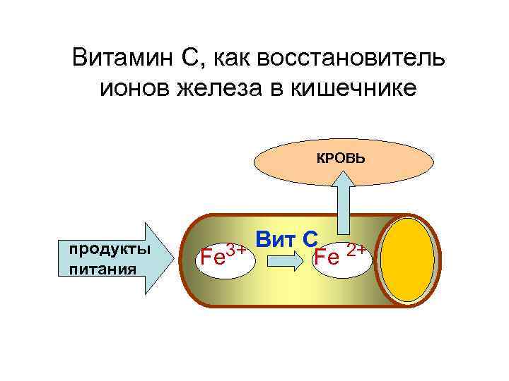 Витамин С, как восстановитель ионов железа в кишечнике КРОВЬ продукты питания Fe 3+ Вит