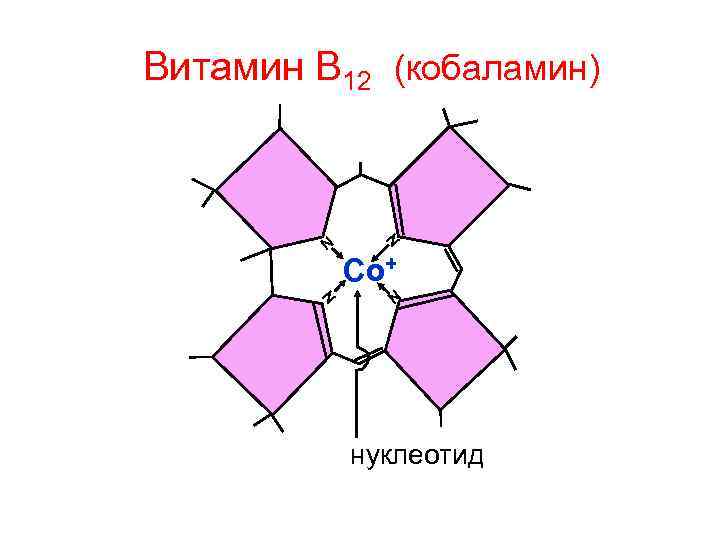 Витамин В 12 (кобаламин) N N Со+ N N нуклеотид 