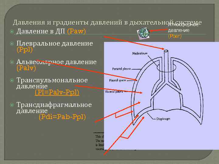 Давления и градиенты давлений в дыхательной системе Атмосферное давление Давление в ДП (Paw) (Pbar)