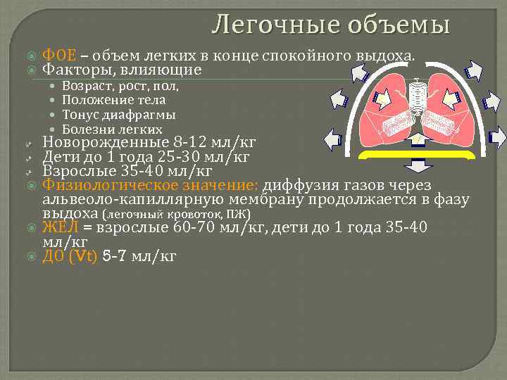 Легочные объемы ФОЕ – объем легких в конце спокойного выдоха. Факторы, влияющие • •