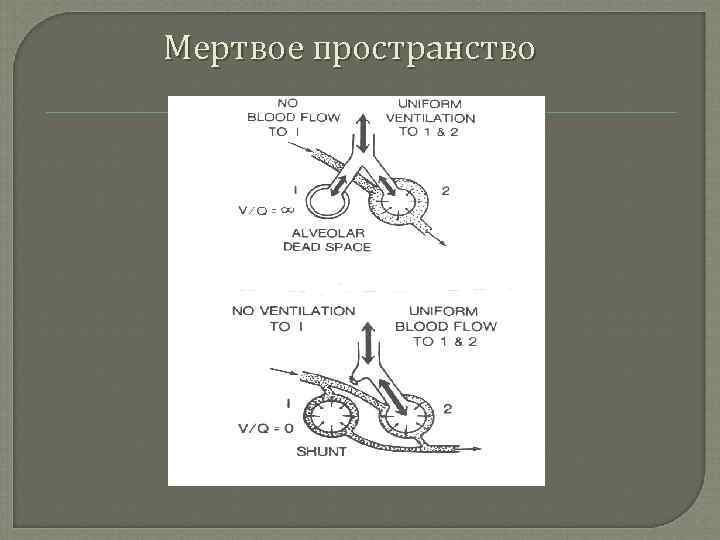 Мертвое пространство 