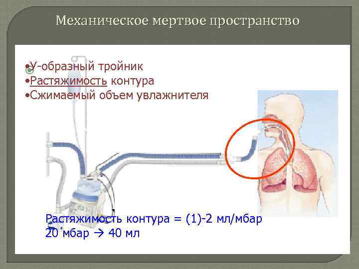 Механическое мертвое пространство • У-образный тройник з • Растяжимость контура • Сжимаемый объем увлажнителя