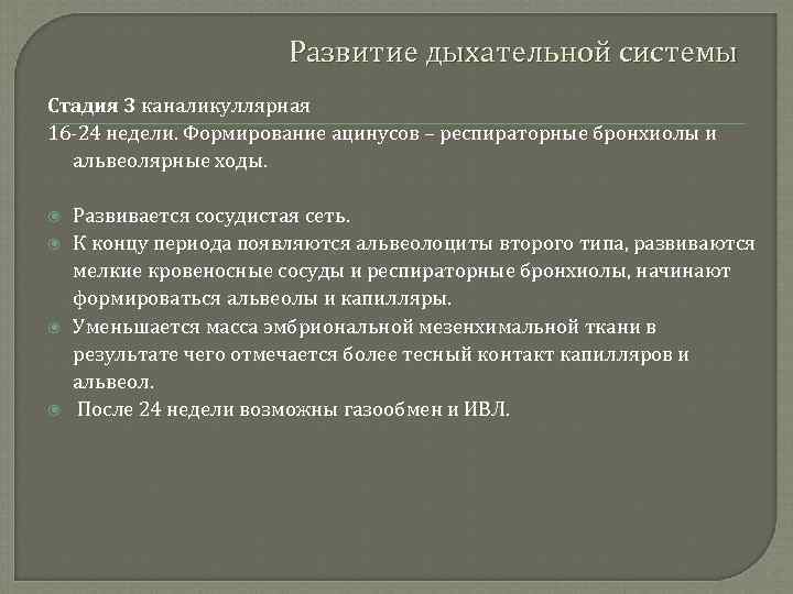 Развитие дыхательной системы Стадия 3 каналикуллярная 16 -24 недели. Формирование ацинусов – респираторные бронхиолы