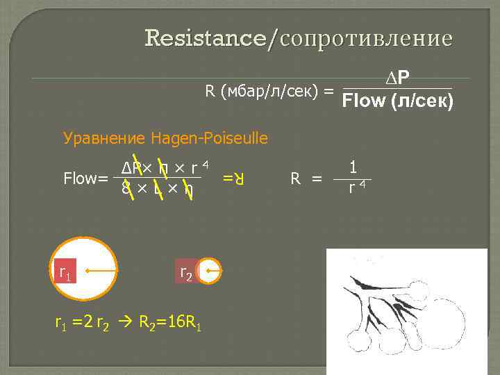 Resistance/сопротивление DP R (мбар/л/сек) = Flow (л/сек) Уравнение Hagen-Poiseulle r 1 R 4 r