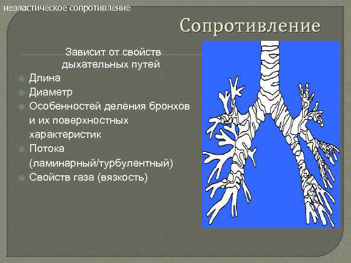 неэластическое сопротивление Сопротивление Зависит от свойств дыхательных путей Длина Диаметр Особенностей деления бронхов и