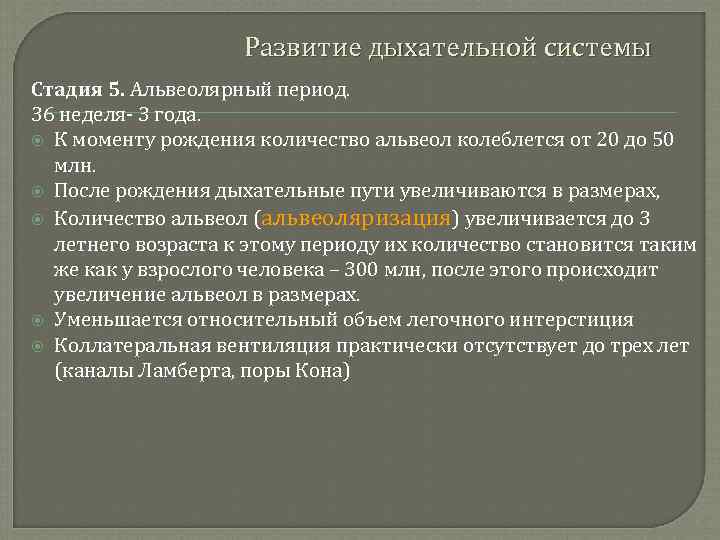 Развитие дыхательной системы Стадия 5. Альвеолярный период. 36 неделя- 3 года. К моменту рождения