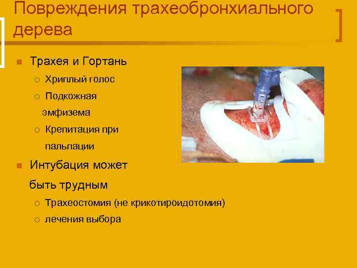 Повреждения трахеобронхиального дерева n Трахея и Гортань ¡ Хриплый голос ¡ Подкожная эмфизема ¡