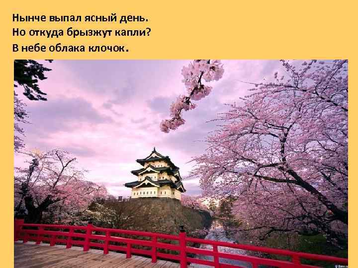 Нынче выпал ясный день. Но откуда брызжут капли? В небе облака клочок. 