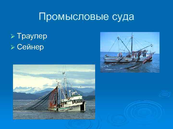 Классификация судов презентация