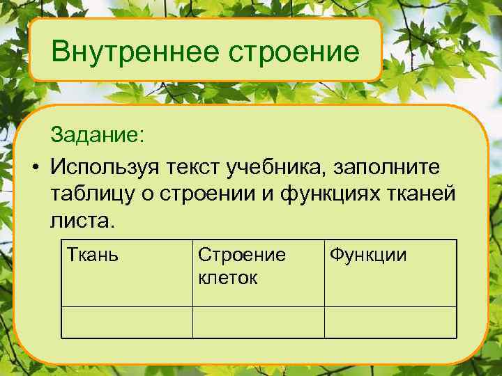 Внутреннее строение Задание: • Используя текст учебника, заполните таблицу о строении и функциях тканей