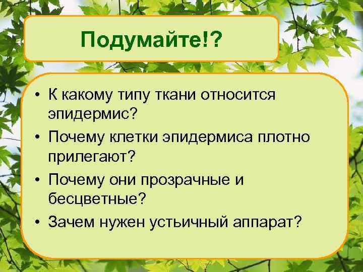 Подумайте!? • К какому типу ткани относится эпидермис? • Почему клетки эпидермиса плотно прилегают?