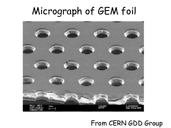 Micrograph of GEM foil From CERN GDD Group 
