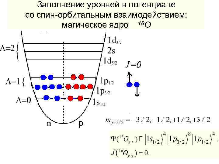 Заполнение уровней в потенциале со спин-орбитальным взаимодействием: магическое ядро 16 О 
