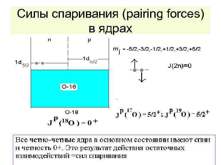 Силы спаривания (pairing forces) в ядрах 