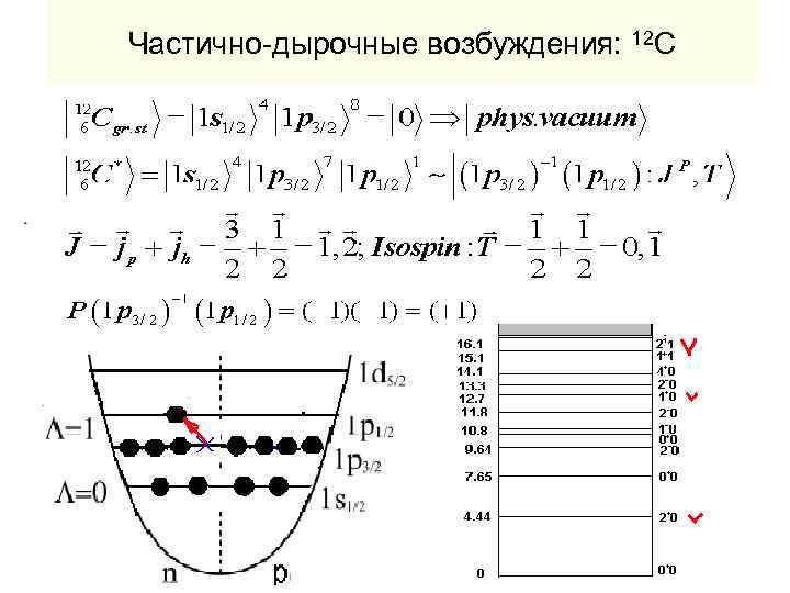 Частично-дырочные возбуждения: 12 С 