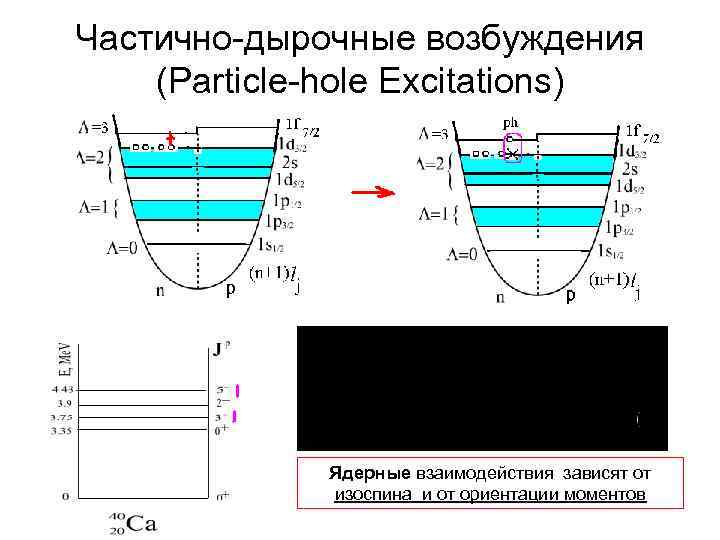 Частично-дырочные возбуждения (Particle-hole Excitations) Ядерные взаимодействия зависят от изоспина и от ориентации моментов 