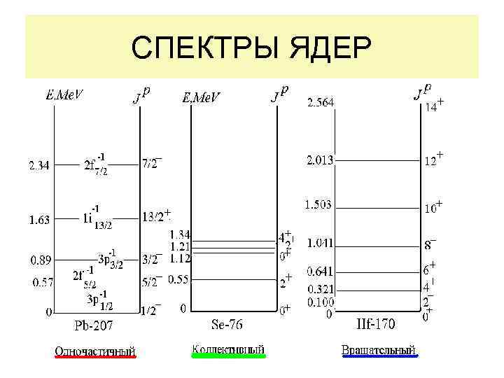 СПЕКТРЫ ЯДЕР 