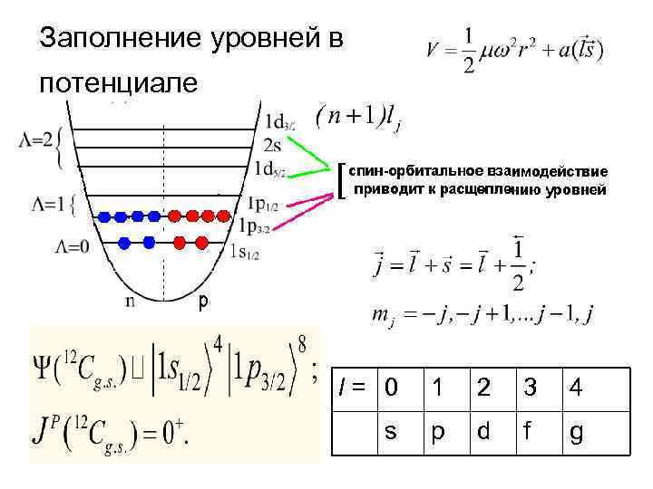 Заполнение уровней в потенциале l= 0 1 2 3 4 s p d f