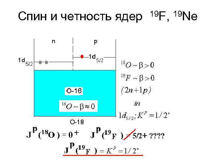 Спин и четность ядер 19 F, 19 Ne 