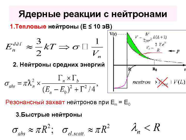 Ядерные реакции с нейтронами 1. Тепловые нейтроны (E ≤ 10 э. В) 2. Нейтроны