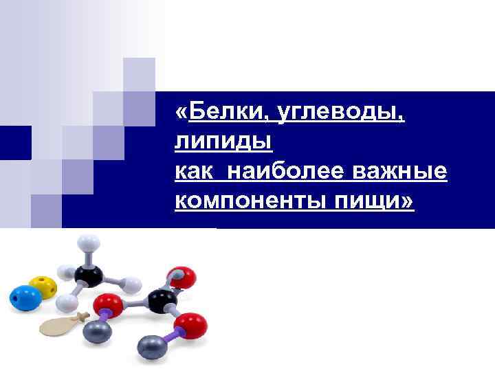  «Белки, углеводы, липиды как наиболее важные компоненты пищи» 