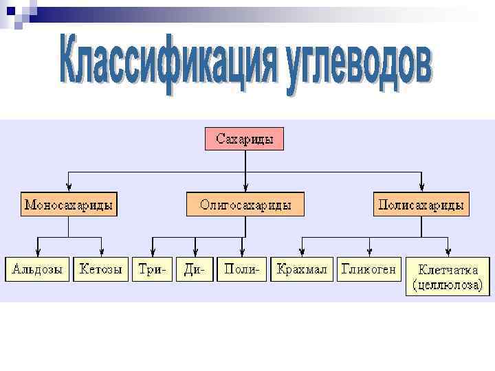 Органические вещества липиды