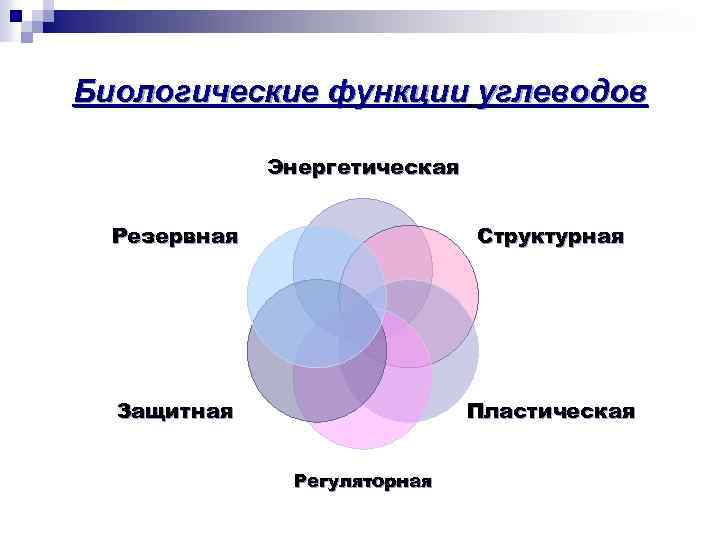 Биологические функции углеводов Энергетическая Резервная Структурная Защитная Пластическая Регуляторная 