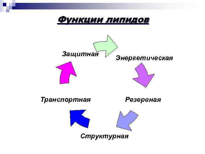 Функции липидов Защитная Транспортная Энергетическая Резервная Структурная 