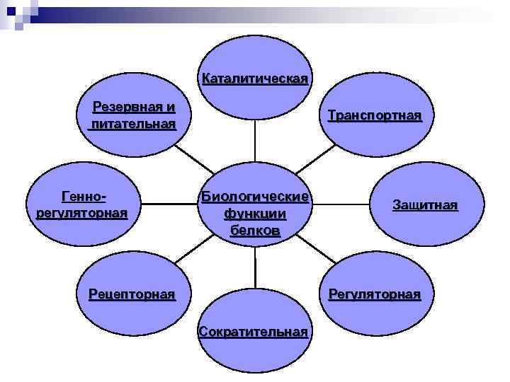 Каталитическая Резервная и питательная Геннорегуляторная Транспортная Биологические функции белков Защитная Регуляторная Рецепторная Сократительная 