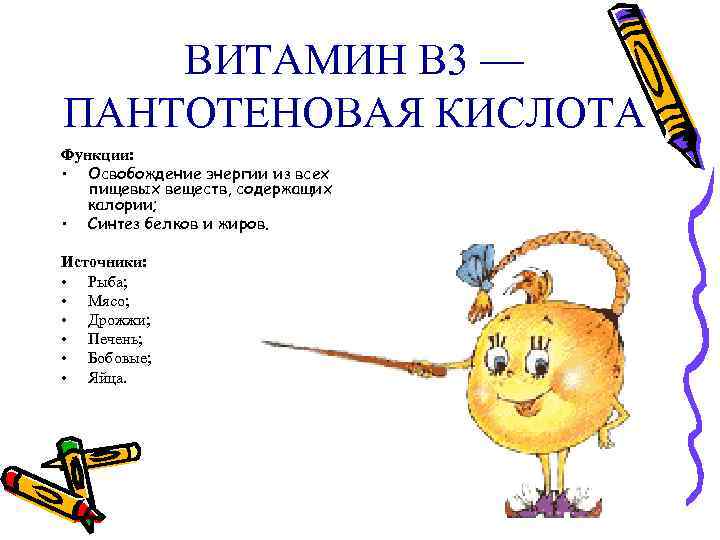ВИТАМИН В 3 — ПАНТОТЕНОВАЯ КИСЛОТА Функции: • Освобождение энергии из всех пищевых веществ,