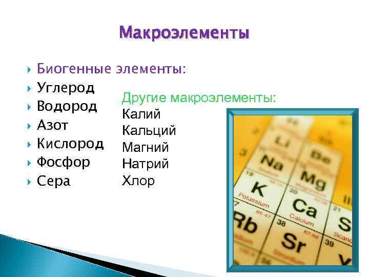 Макроэлементы Биогенные Углерод Водород Азот Кислород Фосфор Сера элементы: Другие макроэлементы: Калий Кальций Магний