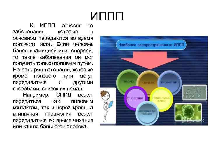 ИППП К ИППП относят те заболевания, которые в основном передаются во время полового акта.