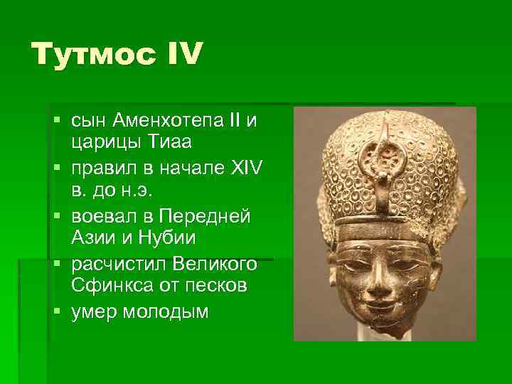 Тутмос IV § сын Аменхотепа II и царицы Тиаа § правил в начале XIV