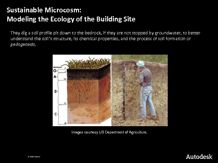 Sustainable Microcosm: Modeling the Ecology of the Building Site They dig a soil profile