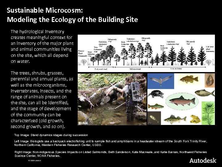 Sustainable Microcosm: Modeling the Ecology of the Building Site The hydrological inventory creates meaningful