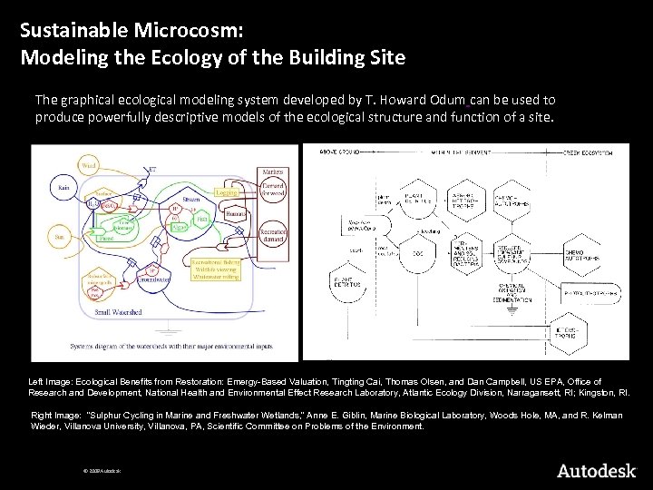 Sustainable Microcosm: Modeling the Ecology of the Building Site The graphical ecological modeling system