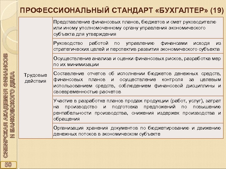 ПРОФЕССИОНАЛЬНЫЙ СТАНДАРТ «БУХГАЛТЕР» (19) Представление финансовых планов, бюджетов и смет руководителю или иному уполномоченному