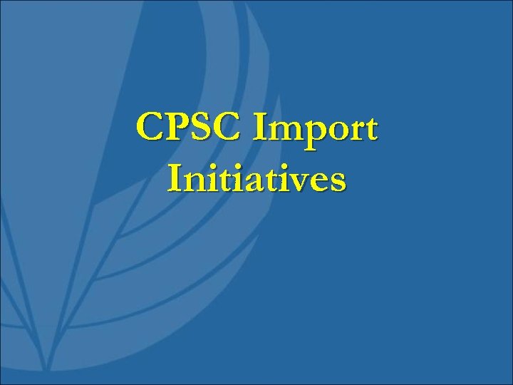 CPSC Import Initiatives 