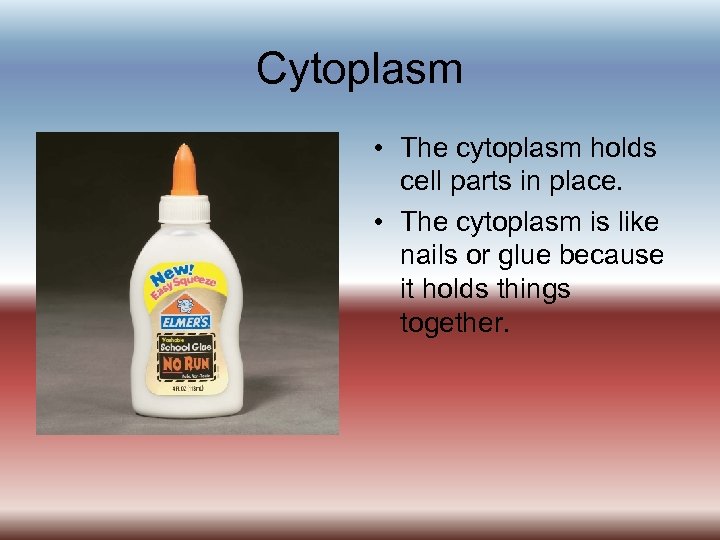 Cytoplasm • The cytoplasm holds cell parts in place. • The cytoplasm is like