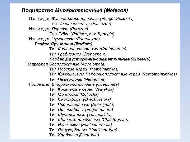 Подцарство Многоклеточные (Metazoa) Надраздел Фагоцителлообразные (Phagocytellozoa) Тип Пластинчатые (Placozoa) Надраздел Паразои (Parazoa) Тип Губки